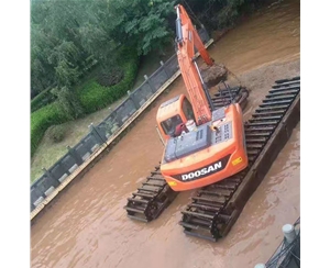 水上兩用挖機出租